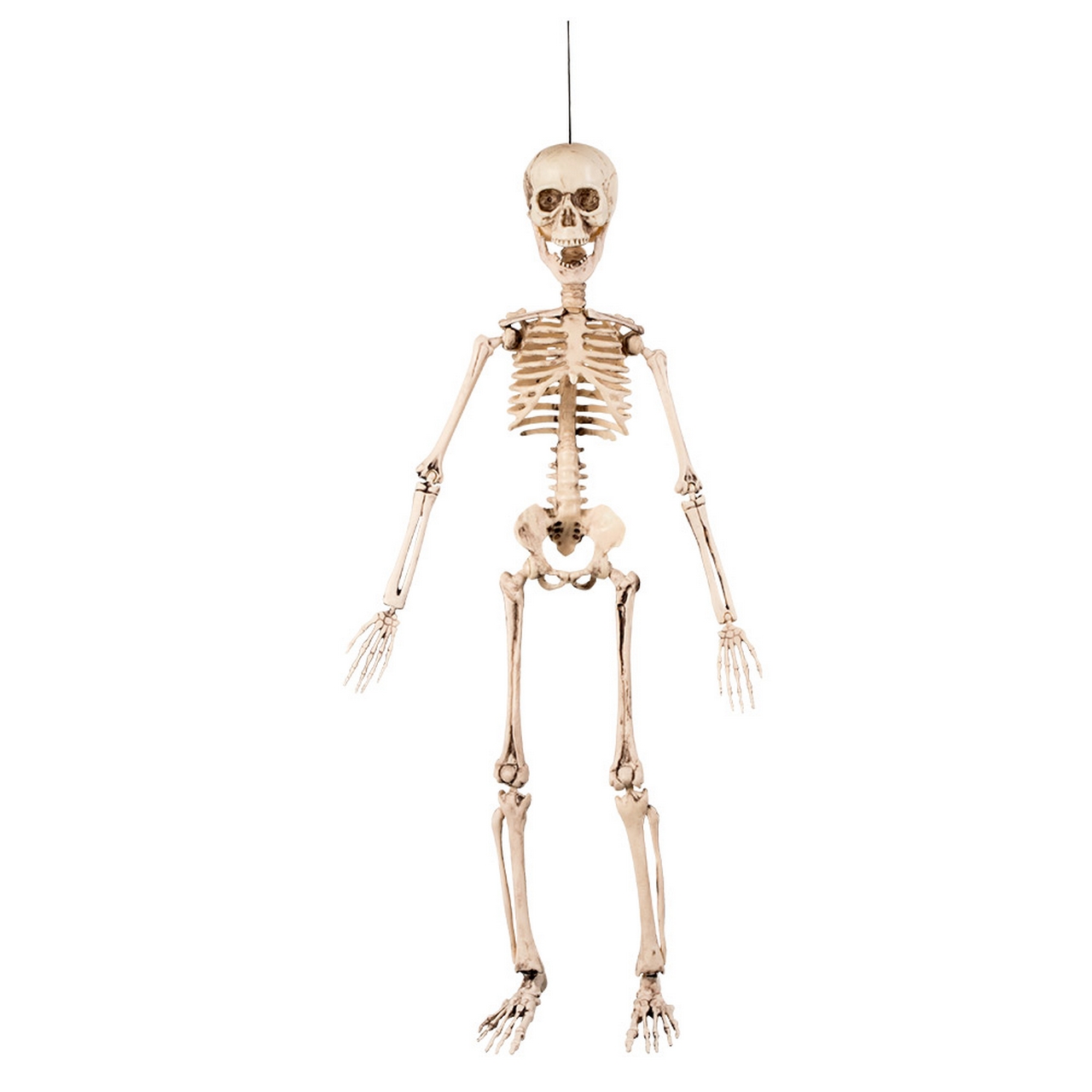 Hangdecoratie Mr Skeleton