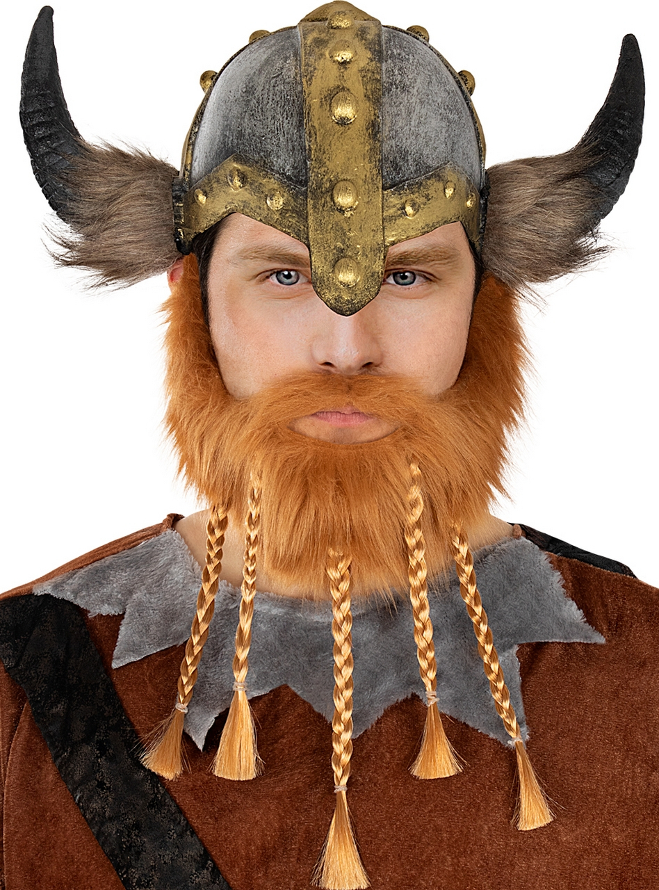 Stoere Viking Baard Met Vlechtjes