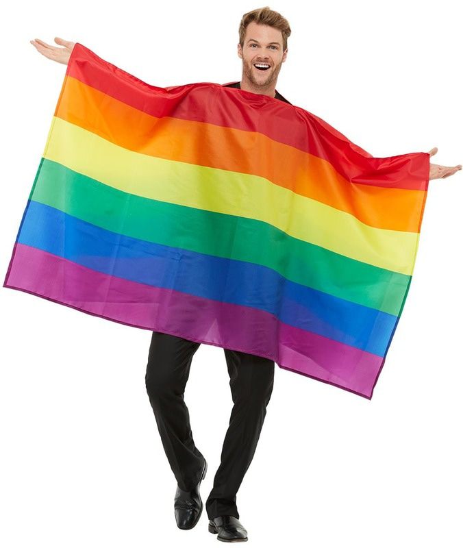 Festival Rainbow Flagge