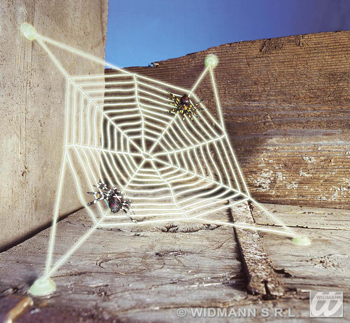 Spinnennetz Mit 2 Spinnen, Leuchtend Im Dunkeln