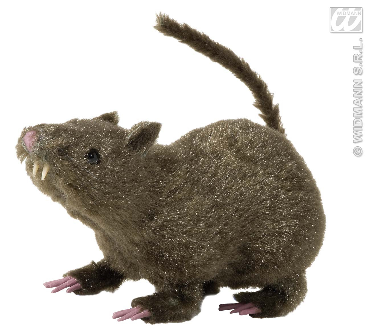 Haarige Ratte, 21 Zentimeter