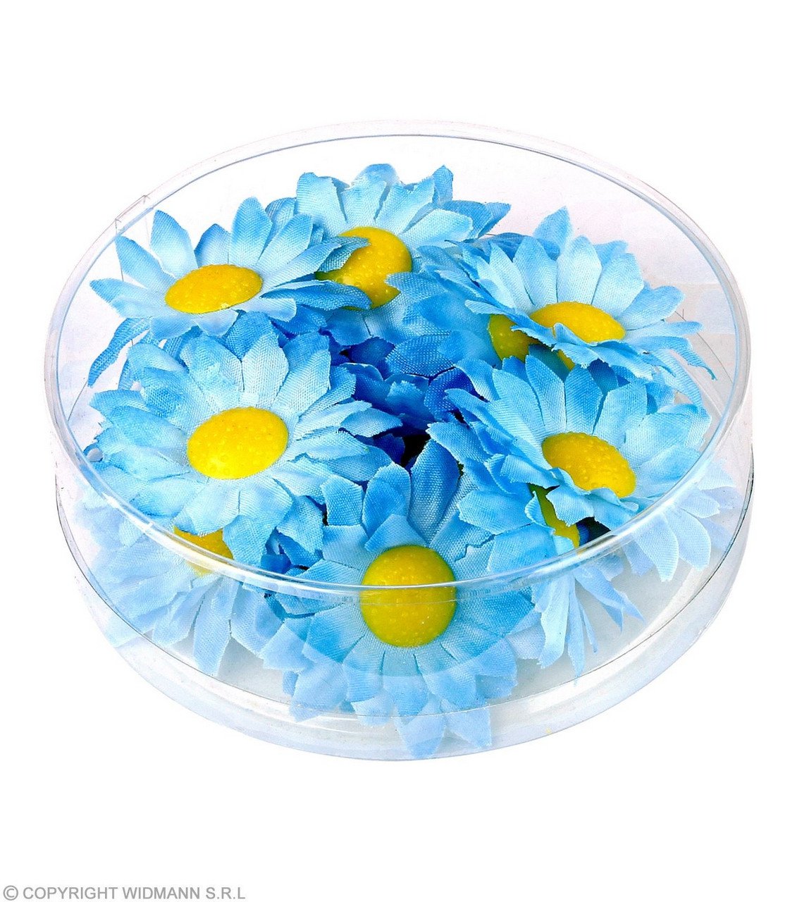 Dekoration Daisses Helle Blaue Blumen