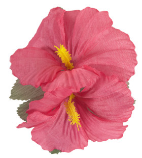 Haarclip Met Hibiscus Bloemen Roze