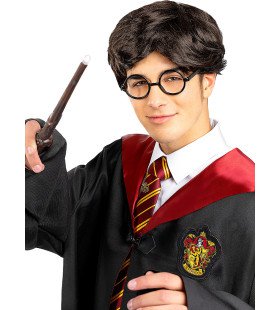 Harry Potter Student Nerd Pruik