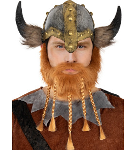 Stoere Viking Baard Met Vlechtjes