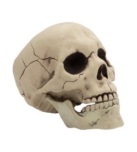 Dekorativer Halloween Totenkopf