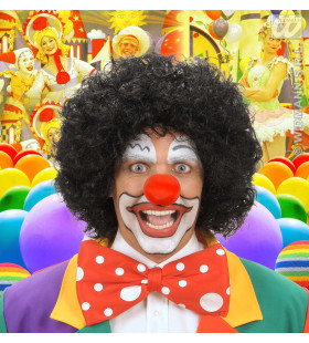 Pruik, Clown Zwart