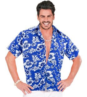 Hawaii Shirt Blauw Man