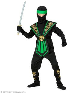 Gevreesde Draken Ninja Groen Kind Jongen Kostuum