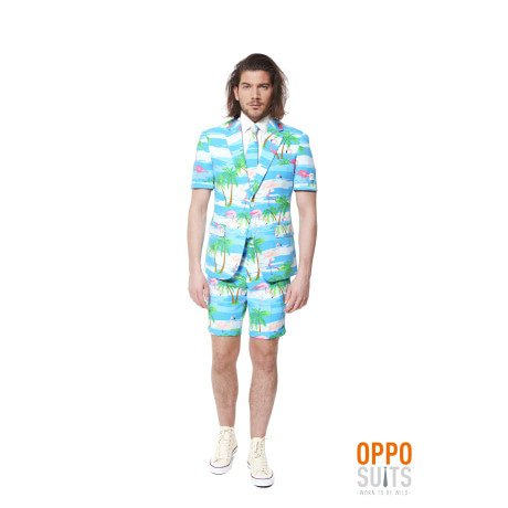 Sommerfest Miami Flaminguy Opposuits Herrenkostüm