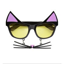 Brille Katze Mit Schnurrhaarern