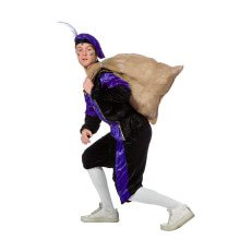 Purple Piet Pansamt -Budget Unisex Kostüm