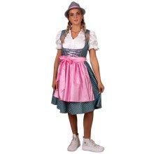 Heidi -Bierträger Dirndl Damenkostüm