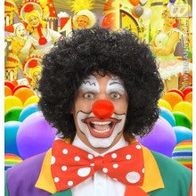 Perücke, Clownschwarz