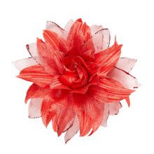 Tropical Hair Clip Mehl Mit Glitzer, Rot