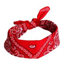 Farmers Taschentaschentuch Bandana