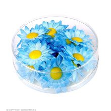 Dekoration Daisses Helle Blaue Blumen