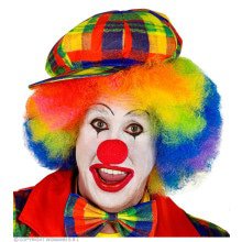 Fett Farer Haustier Clown Blockiert