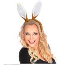 Dumm Wie Eine Hase -Haarbande