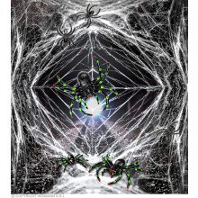 Spinnennetz Mit Riesigen Dicken Schwarzen Spinnen